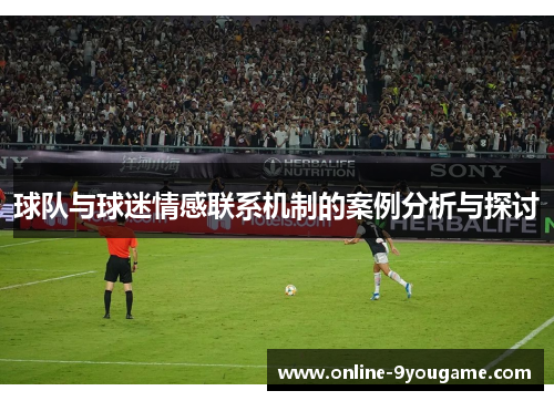 球队与球迷情感联系机制的案例分析与探讨