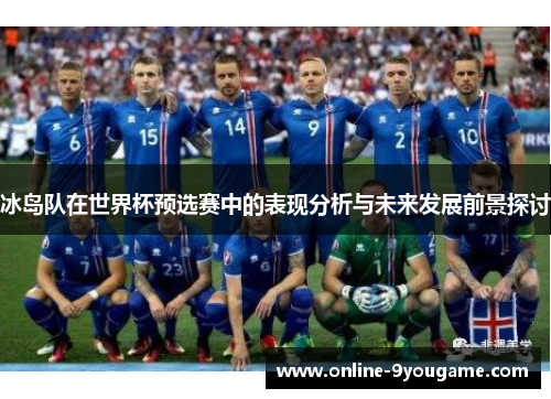 冰岛队在世界杯预选赛中的表现分析与未来发展前景探讨