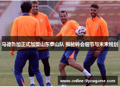马德鲁加正式加盟山东泰山队 揭秘转会细节与未来规划 马德鲁加正式加盟山东泰山队 揭秘转会细节与未来规划