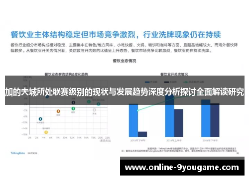 加的夫城所处联赛级别的现状与发展趋势深度分析探讨全面解读研究