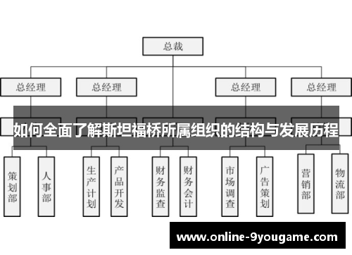 如何全面了解斯坦福桥所属组织的结构与发展历程 如何全面了解斯坦福桥所属组织的结构与发展历程