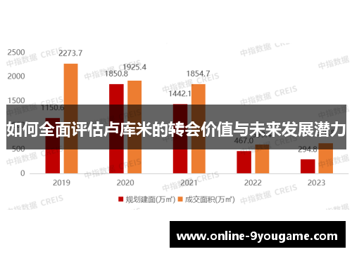 如何全面评估卢库米的转会价值与未来发展潜力